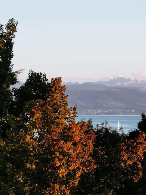 Wohnen Direkt Am Uferpark Mit Grossem Balkon Und Seeblick Friedrichshafen Exterior photo